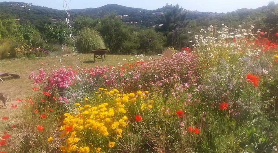 Gite Vue Sur Grimaud Holiday home Cogolin