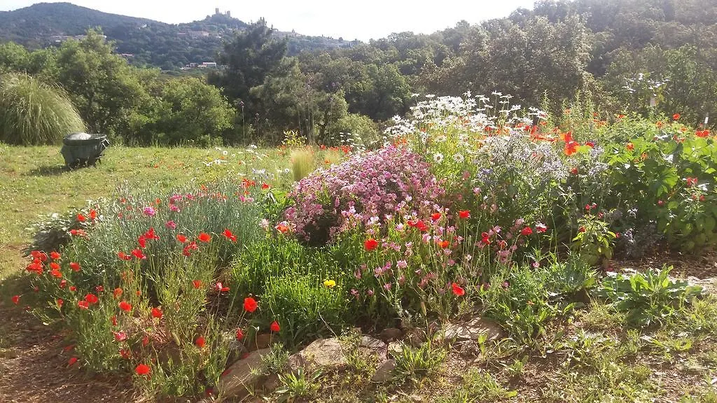 Gite Vue Sur Grimaud Holiday home Cogolin